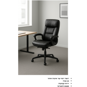 כיסא מנהלים אור